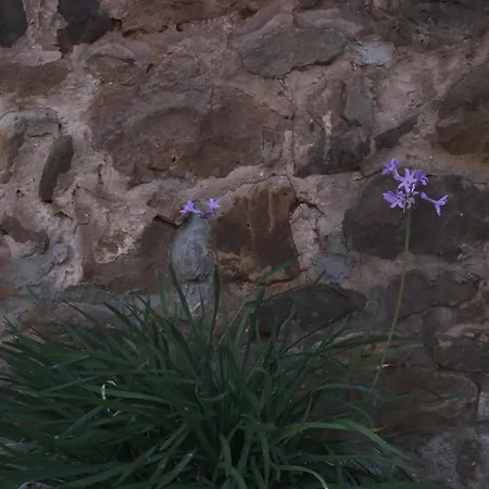 La Estela De Barros