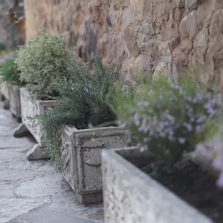La Estela De Barros Corrales De Buelna