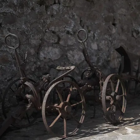 La Estela De Barros
