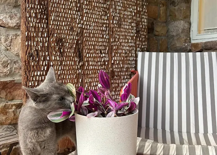 Pensión La Estela De Barros